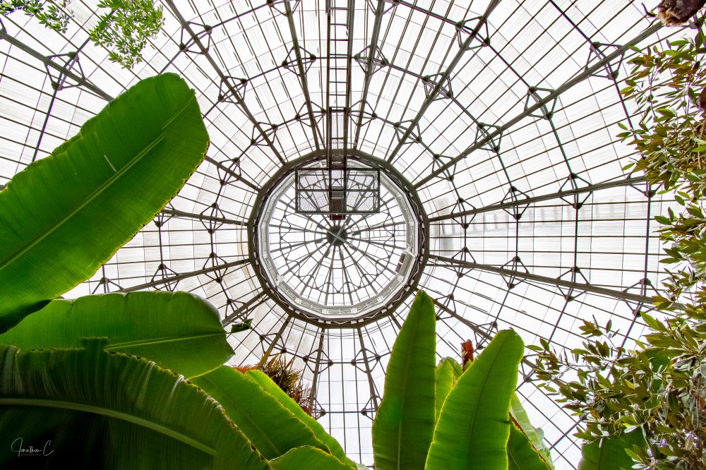 Allan Gardens Dome_