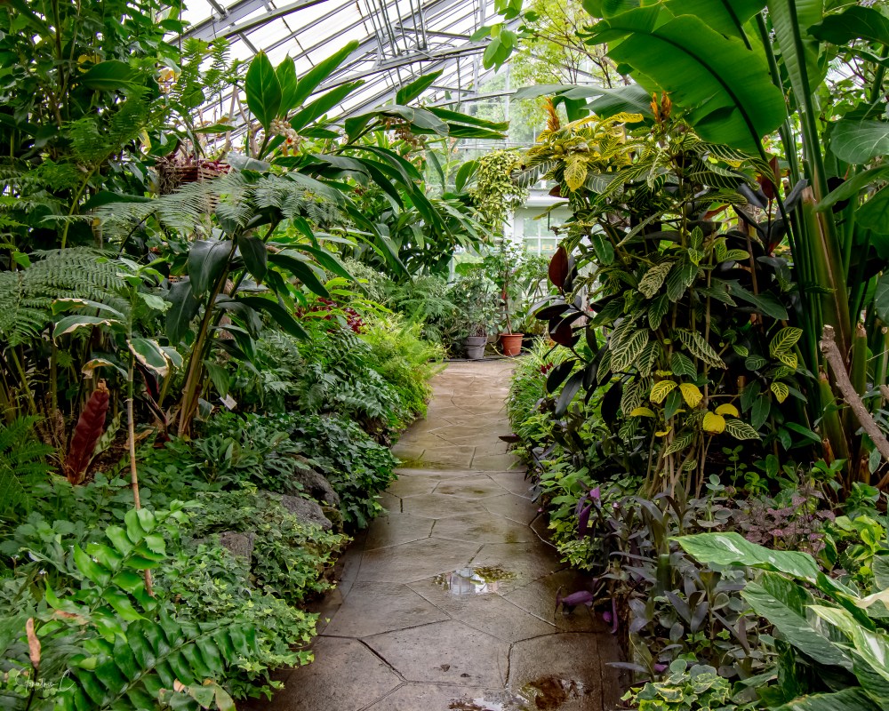 Allan Gardens Path