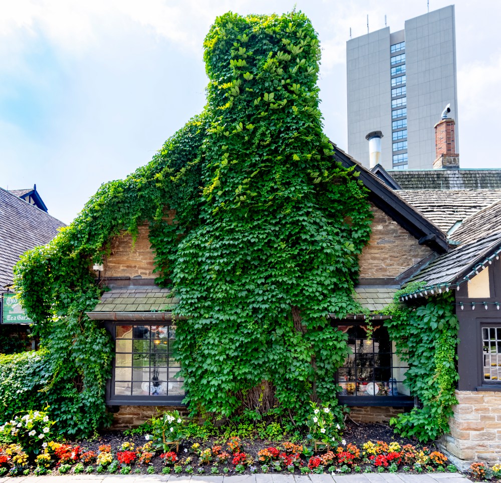 Old Mill Front Chimney